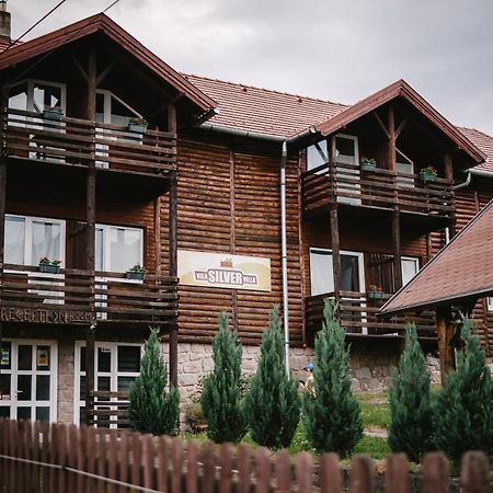 Silver Villa BaileTusnad Exterior foto