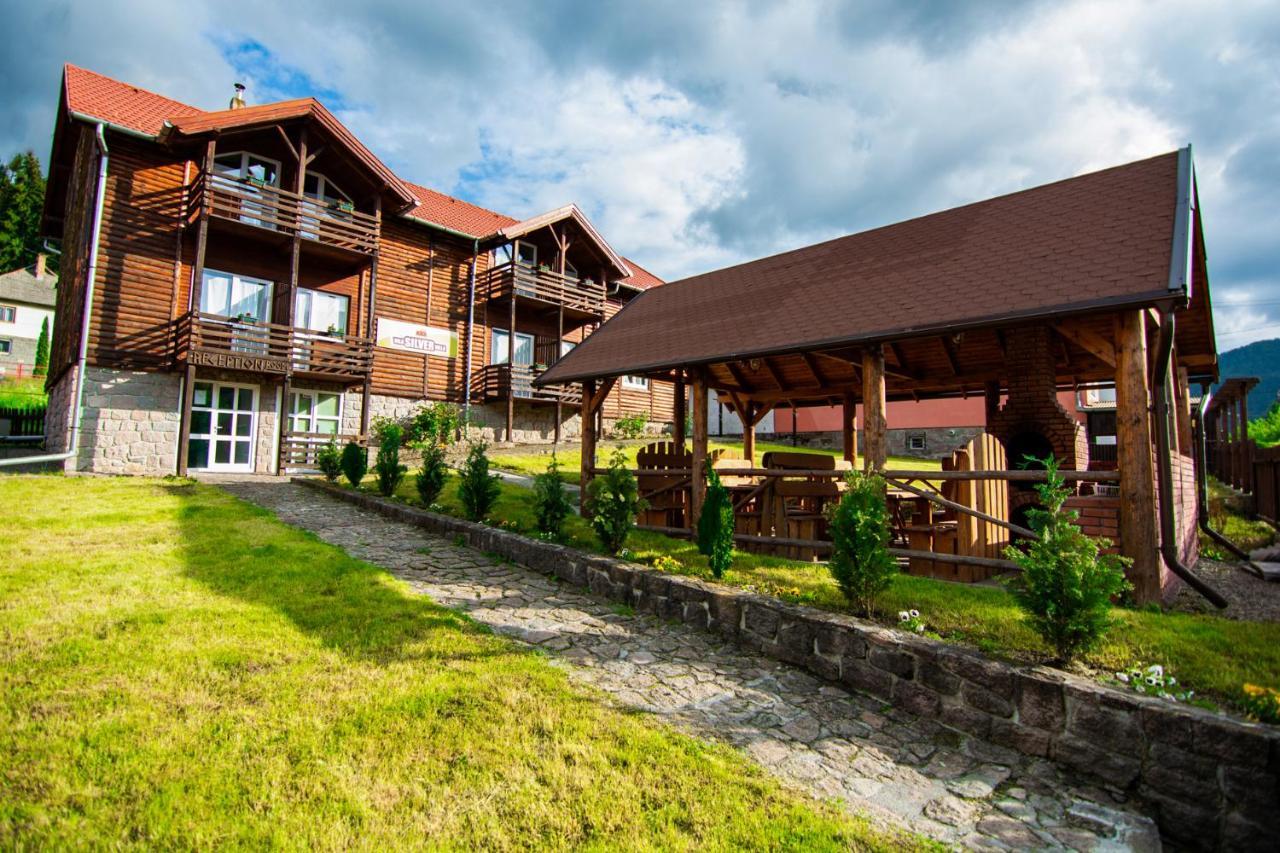 Silver Villa BaileTusnad Exterior foto